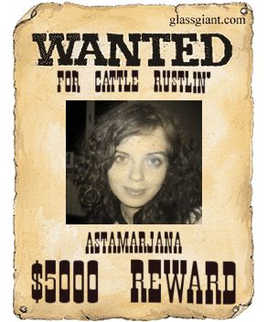 wanted_poster.jpeg (292x353, 26Kb)