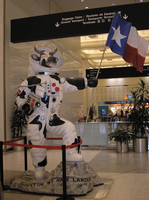 Houston Airport.JPG (522x698, 112Kb)