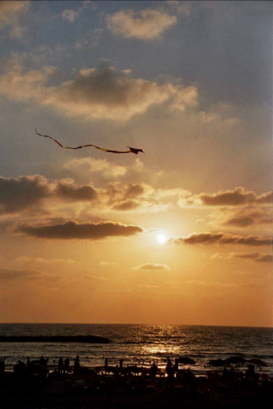 Tel_Aviv_sea_2.jpg (394x591, 175Kb)