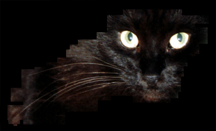 cat3.jpg (699x424, 126Kb)