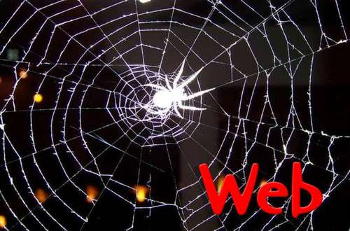 web.jpg (500x330, 31Kb)